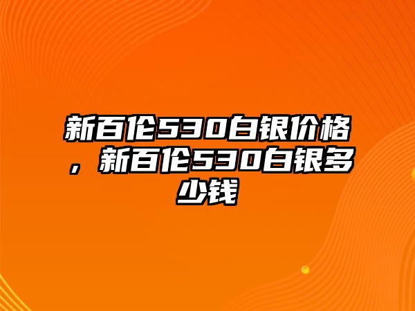 新百倫530白銀價格，新百倫530白銀多少錢