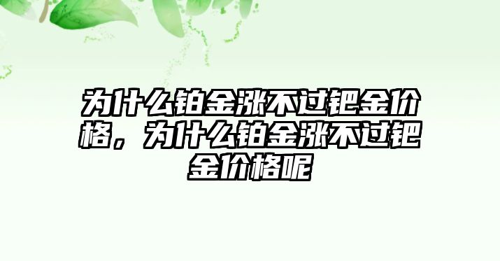 為什么鉑金漲不過鈀金價格，為什么鉑金漲不過鈀金價格呢