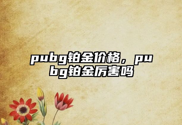 pubg鉑金價(jià)格，pubg鉑金厲害嗎