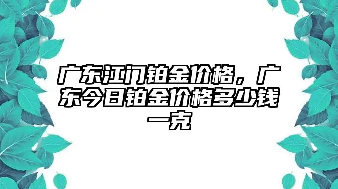 廣東江門鉑金價格，廣東今日鉑金價格多少錢一克