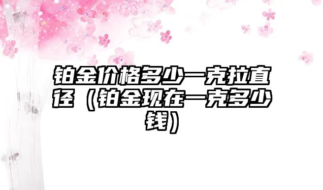 鉑金價格多少一克拉直徑（鉑金現(xiàn)在一克多少錢）