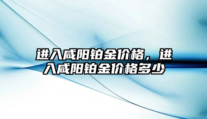 進入咸陽鉑金價格，進入咸陽鉑金價格多少