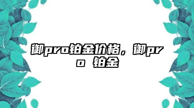 御pro鉑金價(jià)格，御pro 鉑金