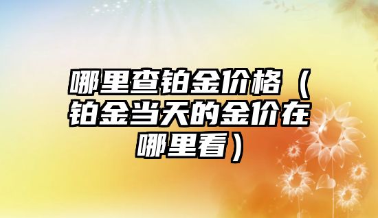 哪里查鉑金價格（鉑金當天的金價在哪里看）