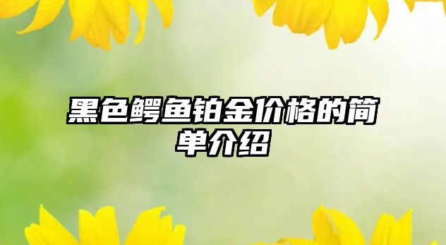 黑色鱷魚鉑金價格的簡單介紹