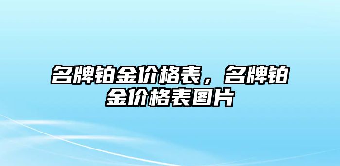 名牌鉑金價(jià)格表，名牌鉑金價(jià)格表圖片