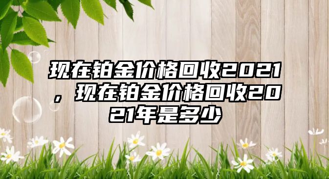 現(xiàn)在鉑金價格回收2021，現(xiàn)在鉑金價格回收2021年是多少