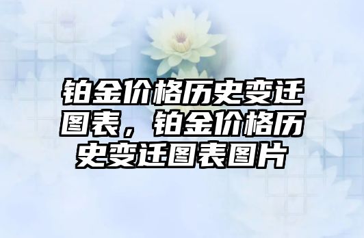 鉑金價(jià)格歷史變遷圖表，鉑金價(jià)格歷史變遷圖表圖片