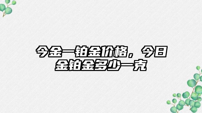 今金一鉑金價(jià)格，今日金鉑金多少一克