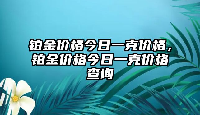 鉑金價(jià)格今日一克價(jià)格，鉑金價(jià)格今日一克價(jià)格查詢