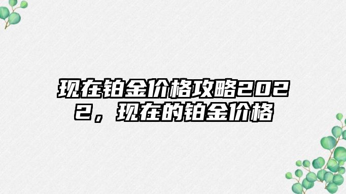 現(xiàn)在鉑金價(jià)格攻略2022，現(xiàn)在的鉑金價(jià)格