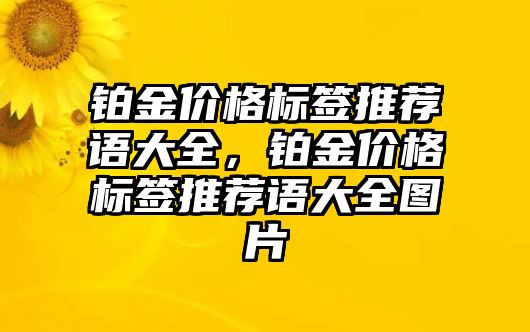 鉑金價格標(biāo)簽推薦語大全，鉑金價格標(biāo)簽推薦語大全圖片