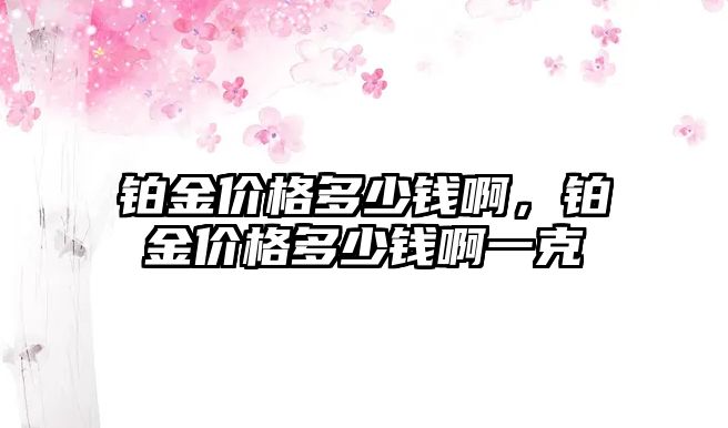 鉑金價(jià)格多少錢啊，鉑金價(jià)格多少錢啊一克