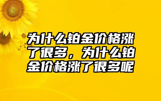 為什么鉑金價(jià)格漲了很多，為什么鉑金價(jià)格漲了很多呢