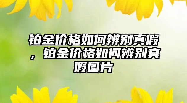 鉑金價格如何辨別真假，鉑金價格如何辨別真假圖片