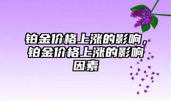 鉑金價格上漲的影響，鉑金價格上漲的影響因素