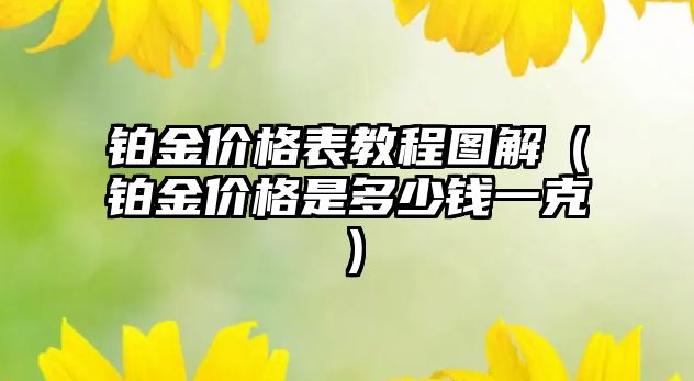 鉑金價格表教程圖解（鉑金價格是多少錢一克）