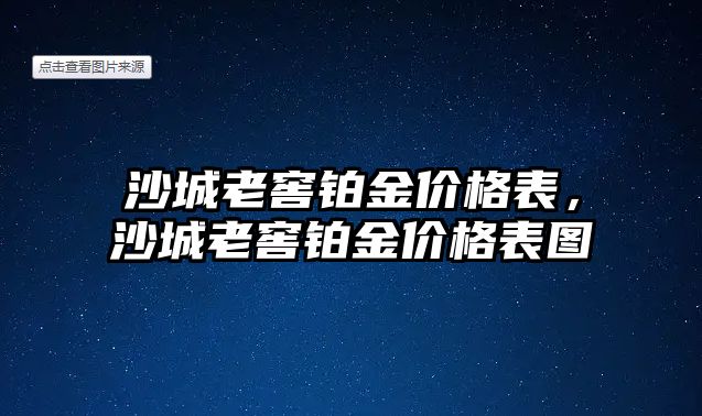 沙城老窖鉑金價(jià)格表，沙城老窖鉑金價(jià)格表圖