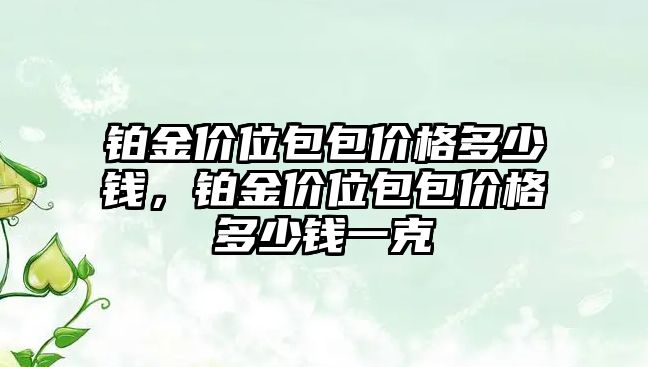 鉑金價位包包價格多少錢，鉑金價位包包價格多少錢一克