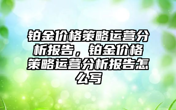 鉑金價格策略運營分析報告，鉑金價格策略運營分析報告怎么寫