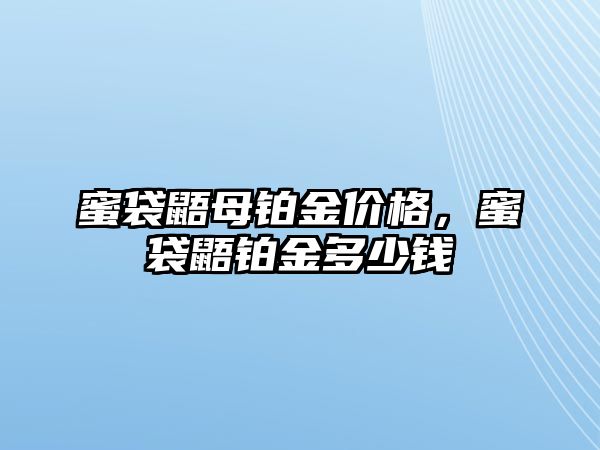 蜜袋鼯母鉑金價格，蜜袋鼯鉑金多少錢