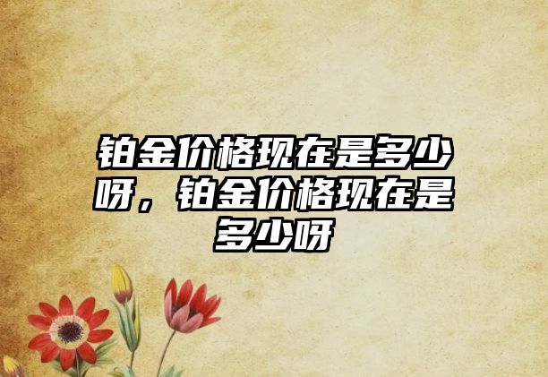 鉑金價(jià)格現(xiàn)在是多少呀，鉑金價(jià)格現(xiàn)在是多少呀