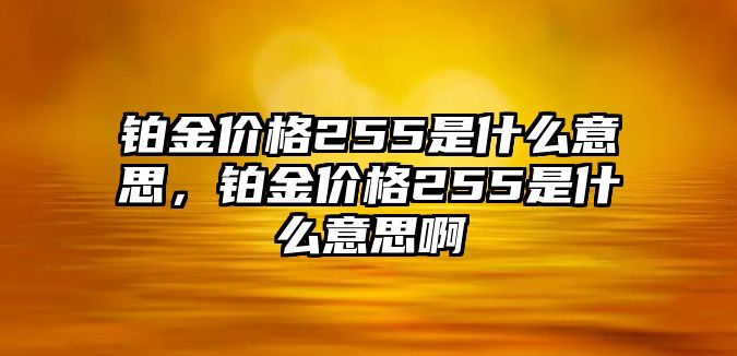 鉑金價格255是什么意思，鉑金價格255是什么意思啊