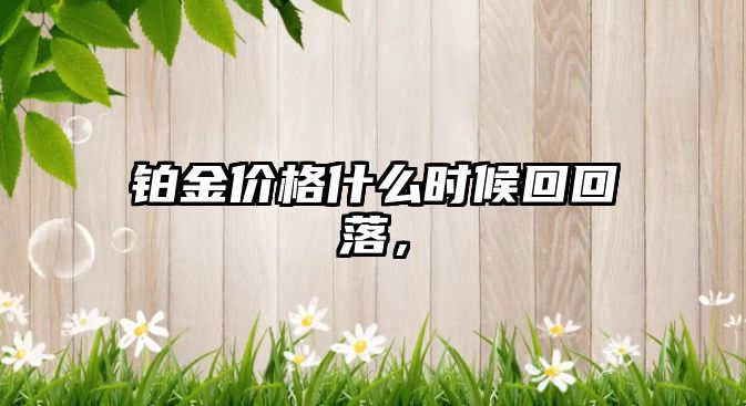 鉑金價格什么時候回回落，