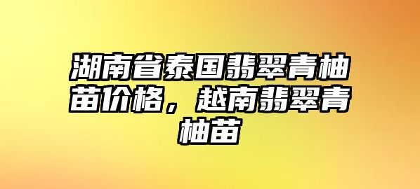 湖南省泰國翡翠青柚苗價格，越南翡翠青柚苗