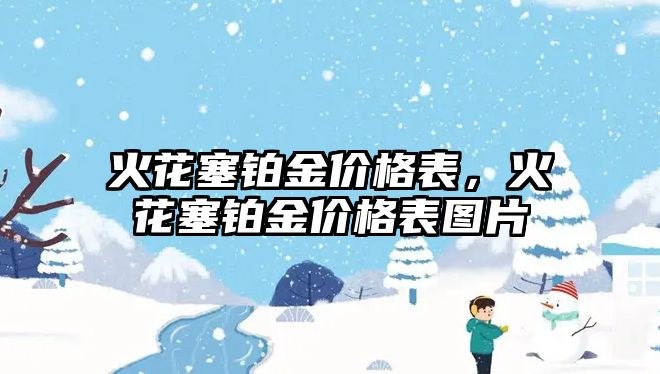 火花塞鉑金價格表，火花塞鉑金價格表圖片