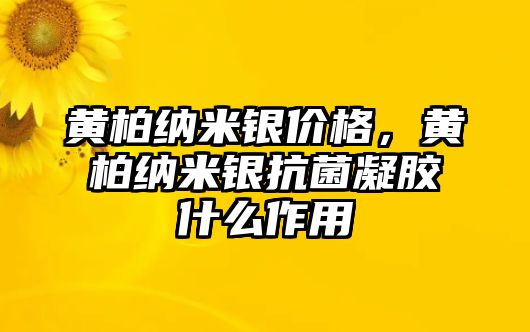 黃柏納米銀價格，黃柏納米銀抗菌凝膠什么作用