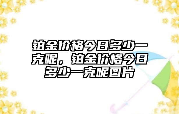 鉑金價格今日多少一克呢，鉑金價格今日多少一克呢圖片