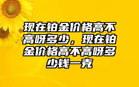 現(xiàn)在鉑金價格高不高呀多少，現(xiàn)在鉑金價格高不高呀多少錢一克