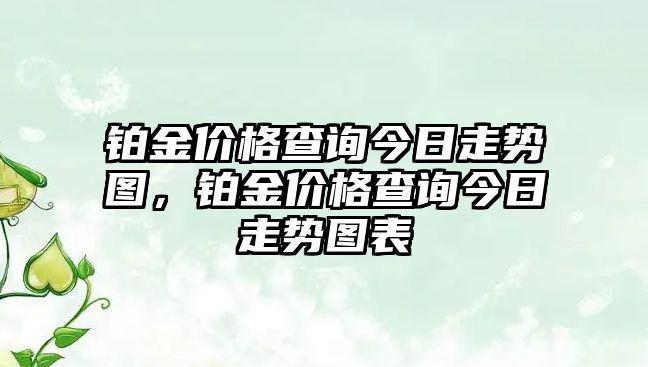 鉑金價(jià)格查詢今日走勢圖，鉑金價(jià)格查詢今日走勢圖表